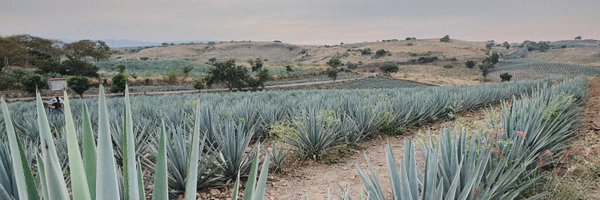 JuanArreguin Profile Banner