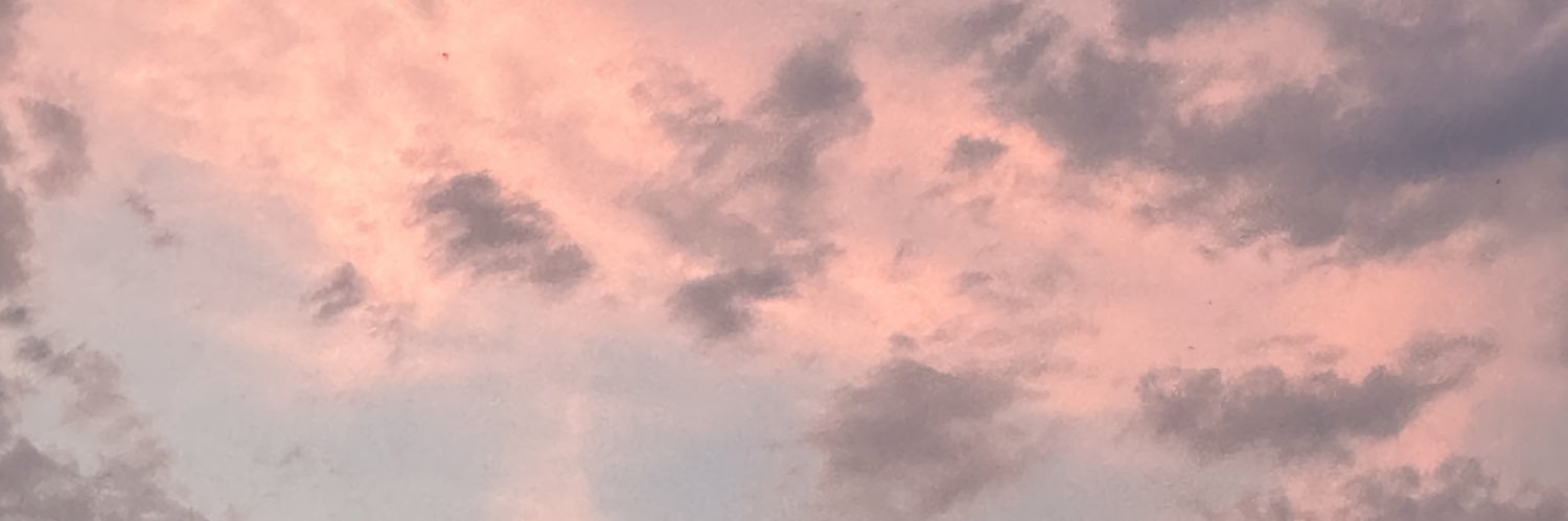 javskn's profile banner image
