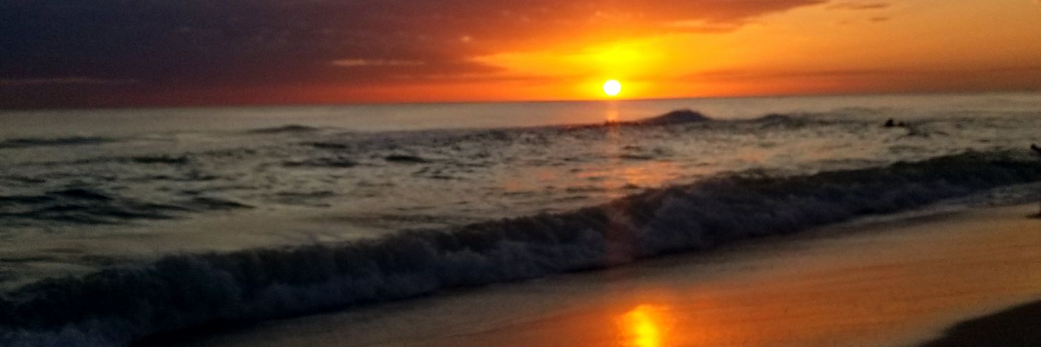 Kimmikai's profile banner image