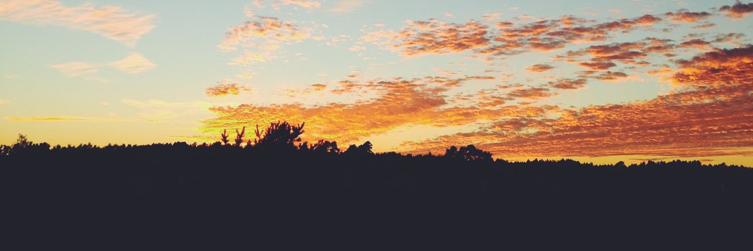 Susanneekk's profile banner image