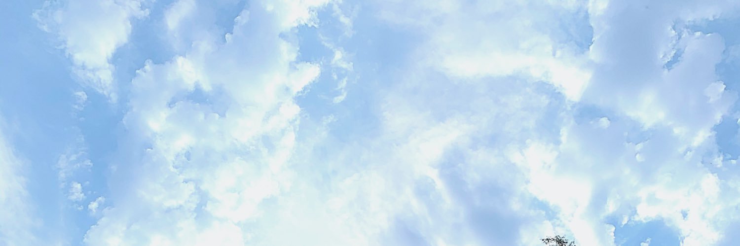 Thestylebubble_'s profile banner image