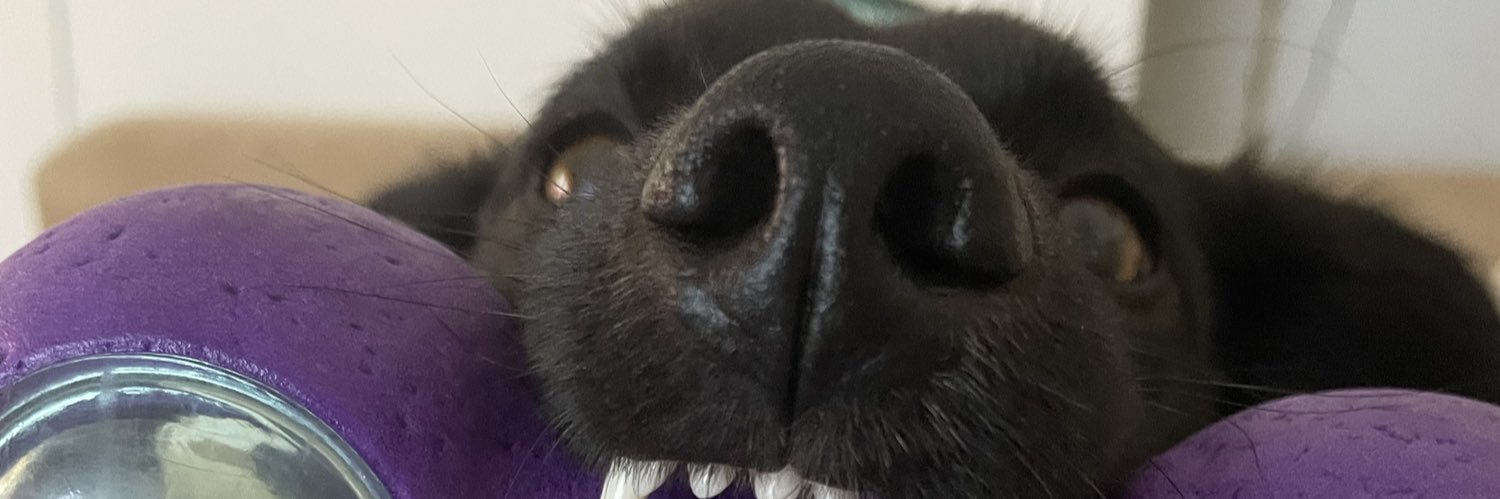 CrisMaeso's profile banner image