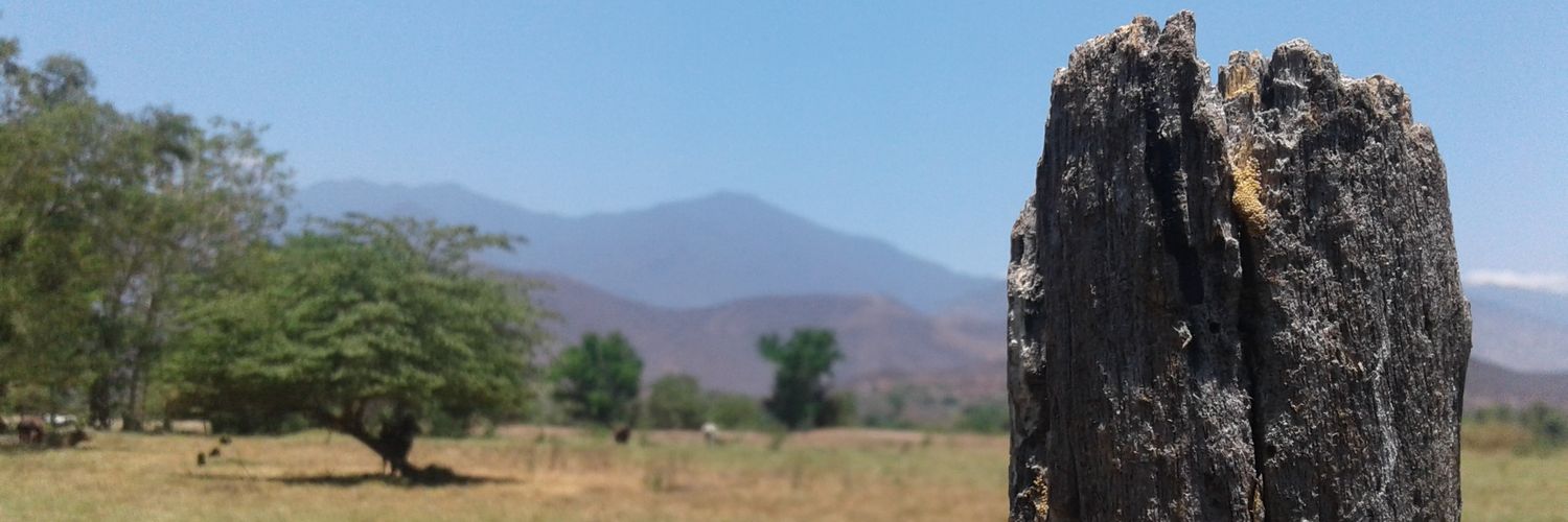 canitoP's profile banner image