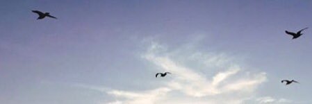 🌬 banner