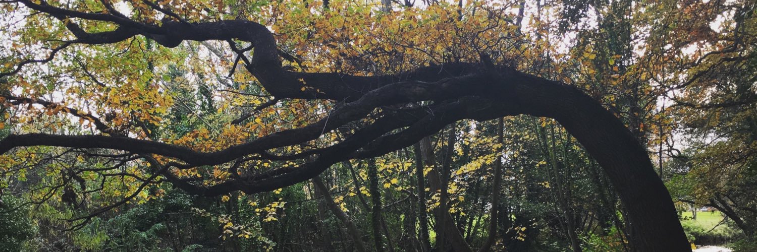 GemmaCulleton7's profile banner image
