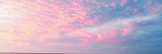Nikki Hawkins 🌸 banner