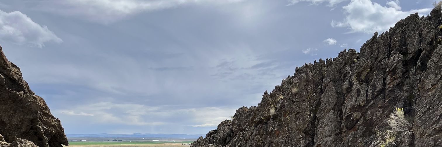 NataleaBlake's profile banner image