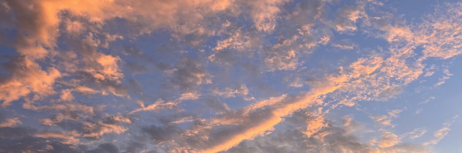 maryanaasc's profile banner image