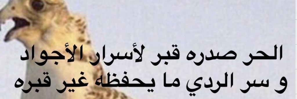 Obaid1_4's profile banner image