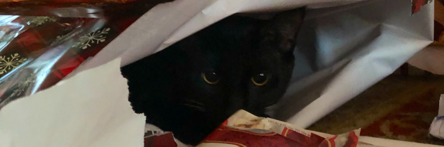 lilbrew9's profile banner image