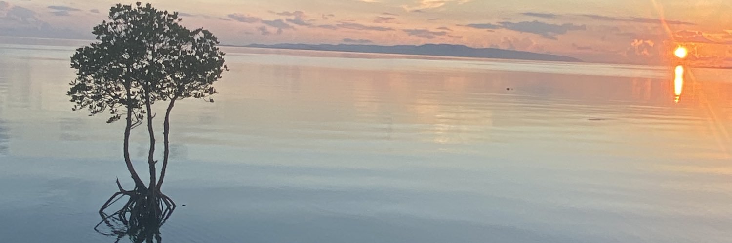 jgsdfhayato's profile banner image