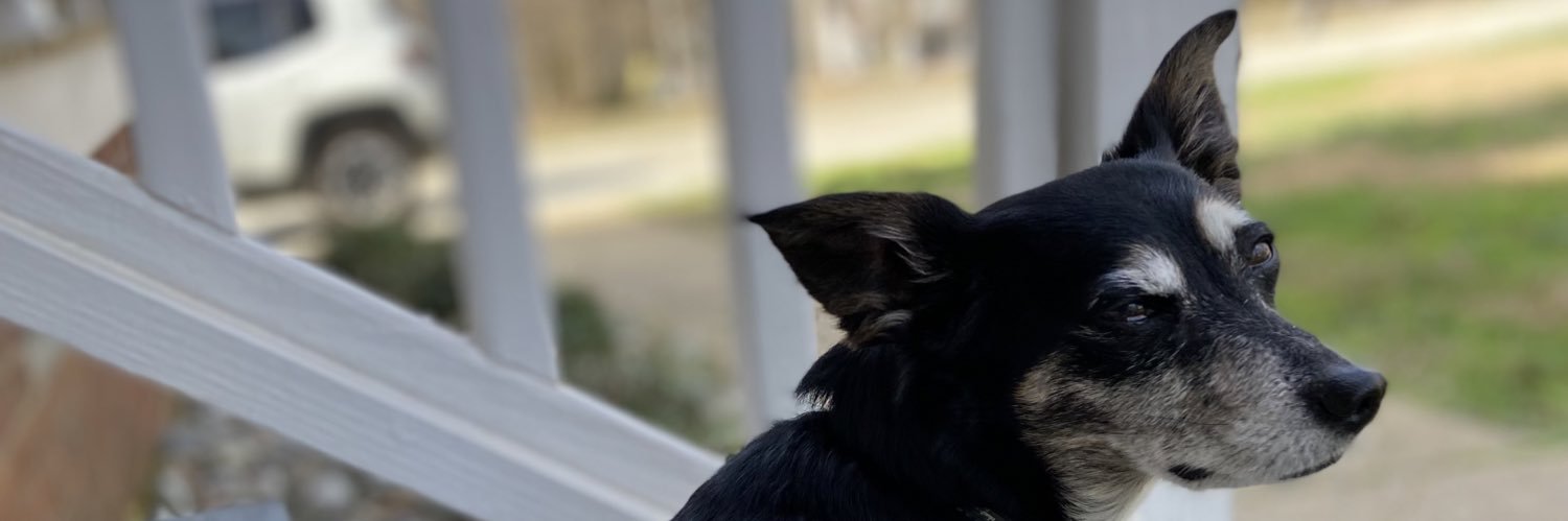 KaitlinIsaac's profile banner image