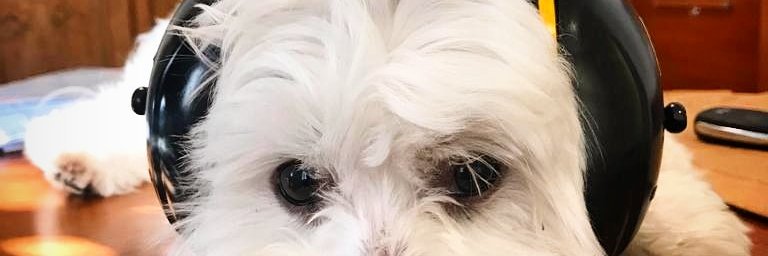 jumanggi's profile banner image