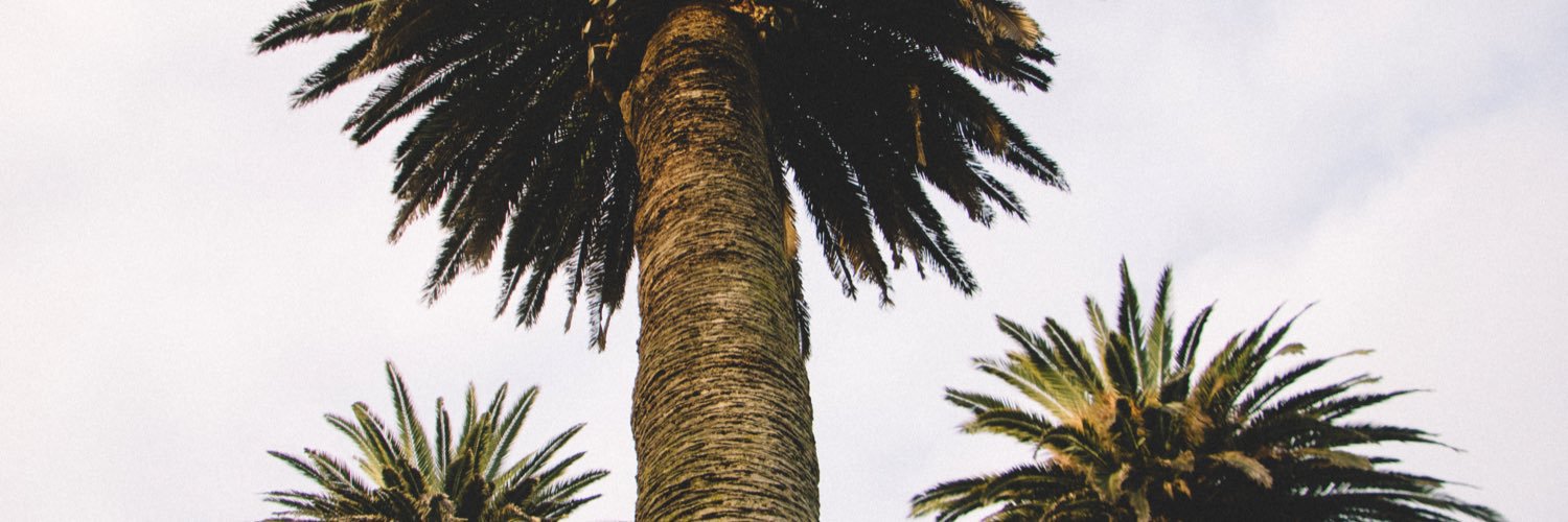 ThomasMiddleto7's profile banner image