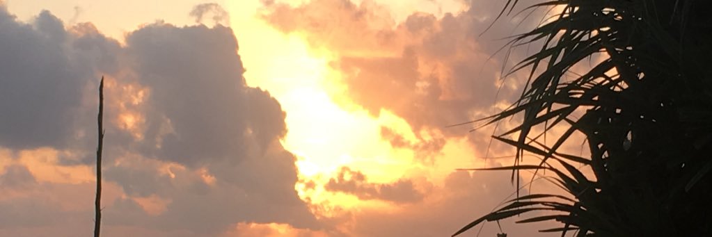 Nitish Mittersain banner