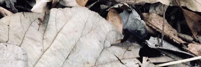 adrianps95's profile banner image