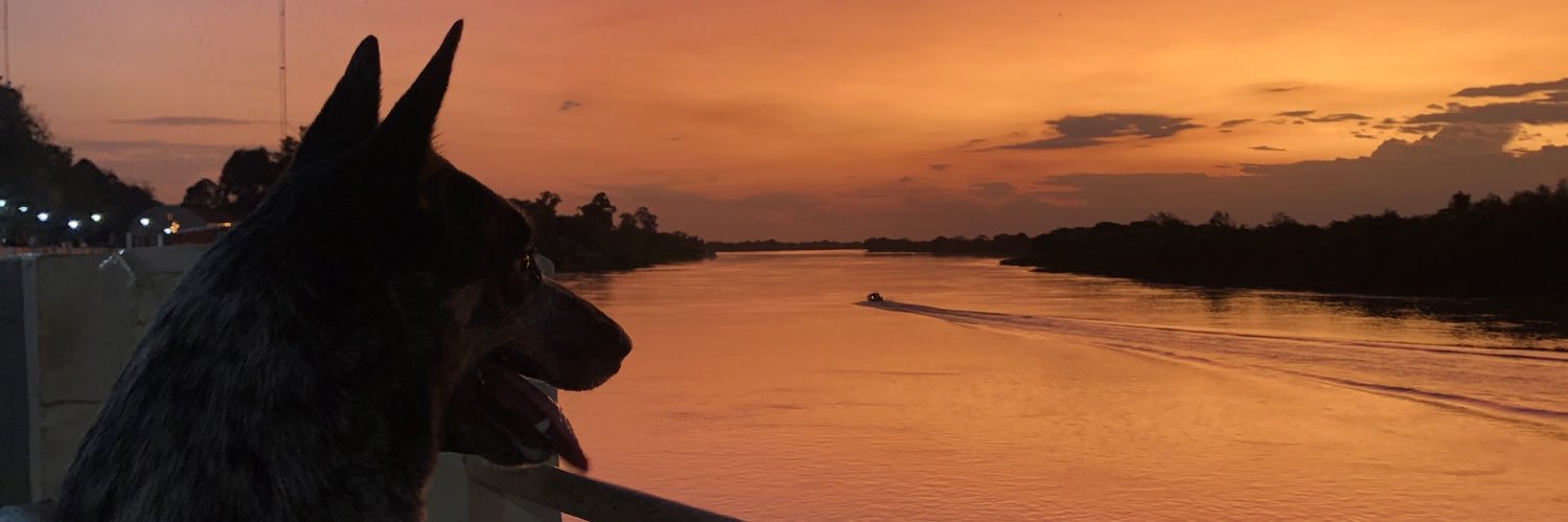 CamiRomag's profile banner image