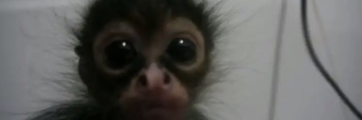 Tsalgado_'s profile banner image