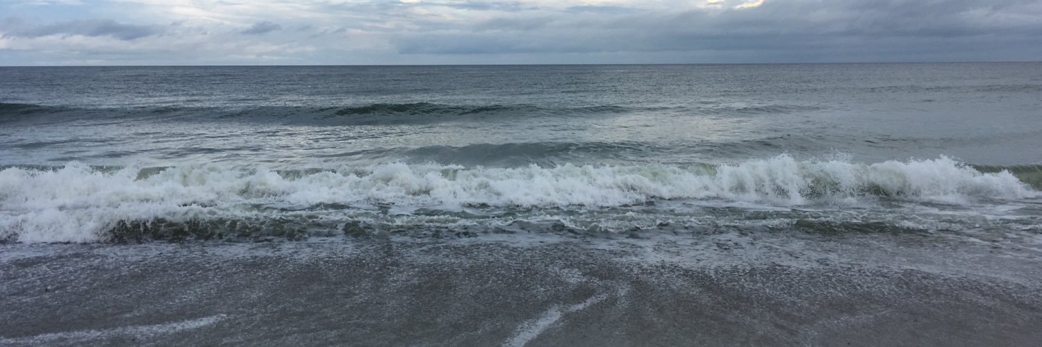 Paige__Clark's profile banner image