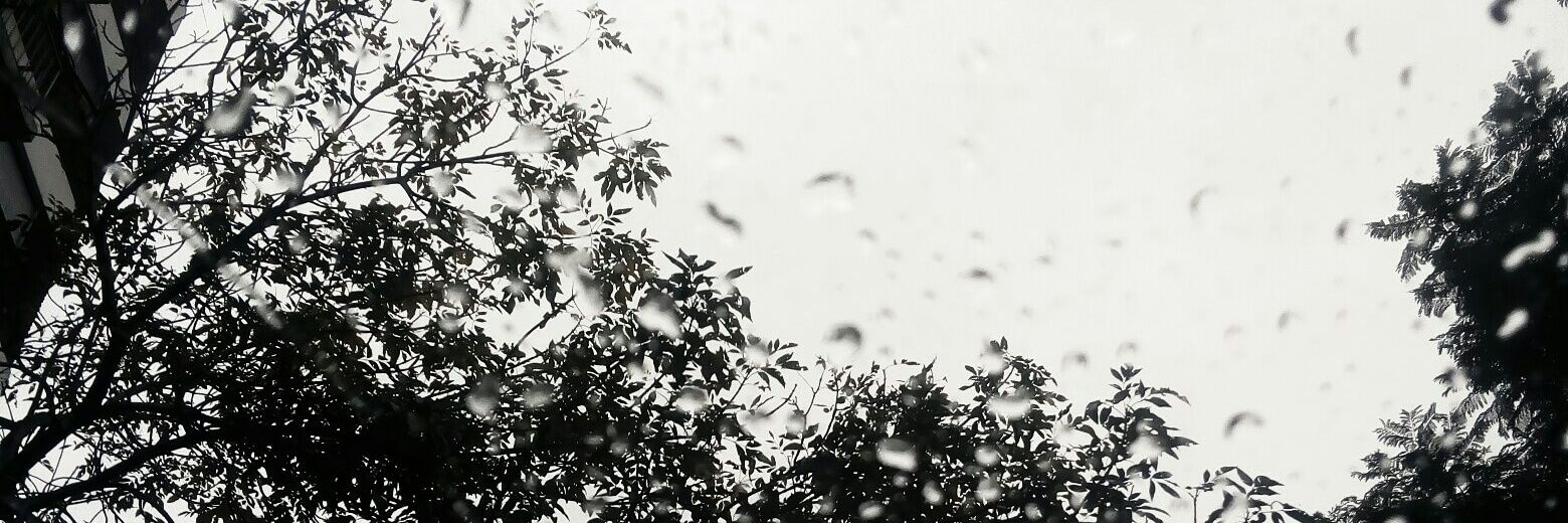 solspiegelman's profile banner image