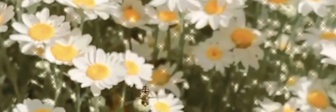 ericacheyenne_1's profile banner image