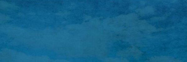 TWlTTEROS CALI banner