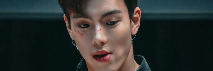 shownubebecito's profile banner image