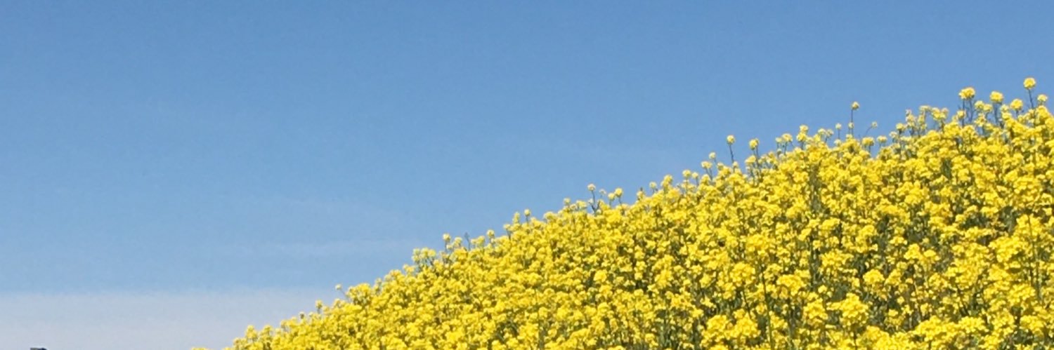 grace banner