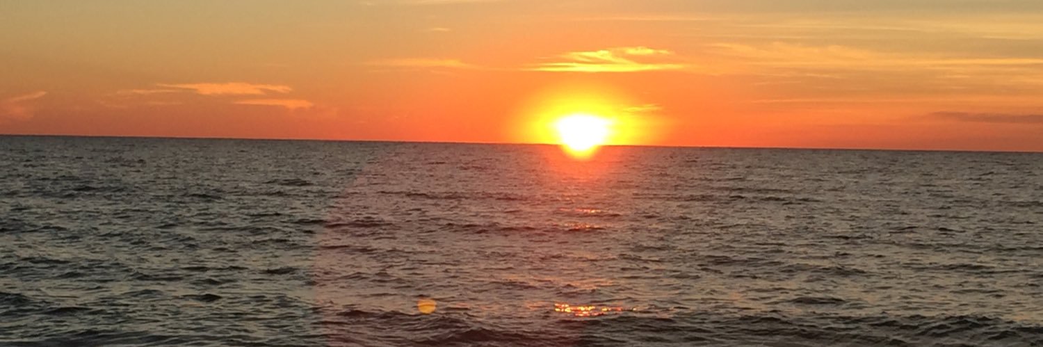 heatherharrold's profile banner image