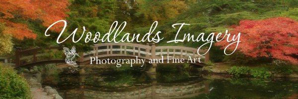 Woodlands Imagery 📷 🦢 Profile Banner