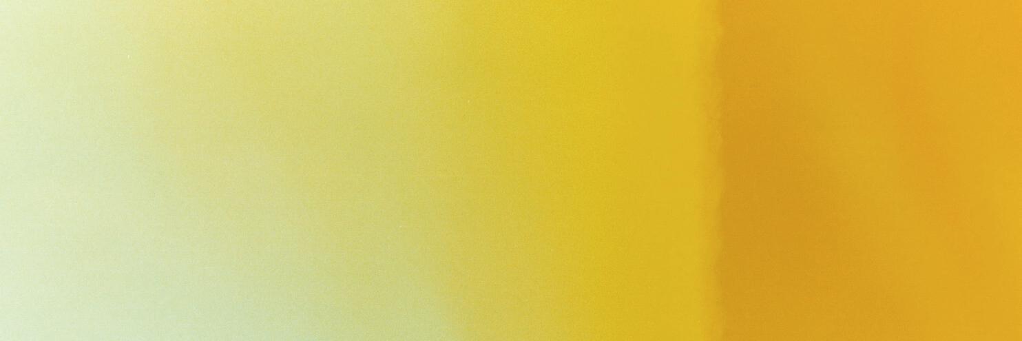 Dana Bolger banner