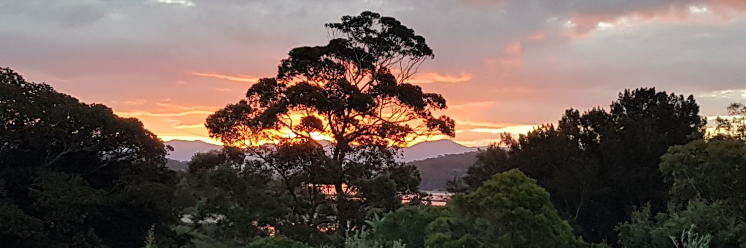 ykd464's profile banner image