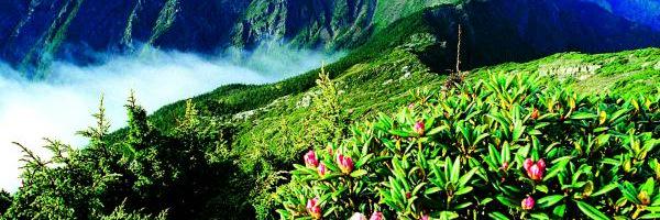 eBookDynasty Profile Banner