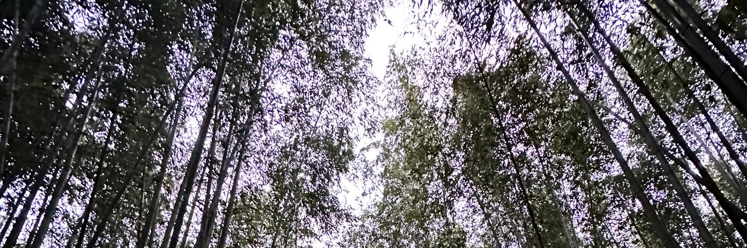 Teeeeeeej07's profile banner image