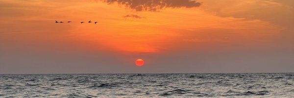 siscrys Profile Banner