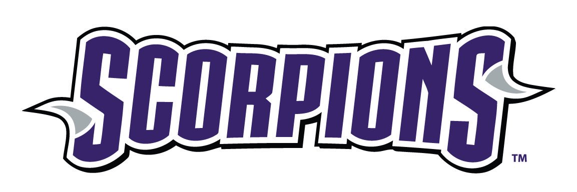 Scorpions Southeast banner