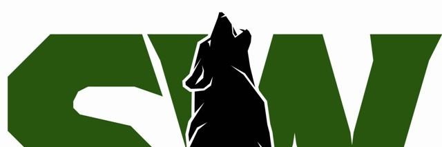 BVSW Counseling banner