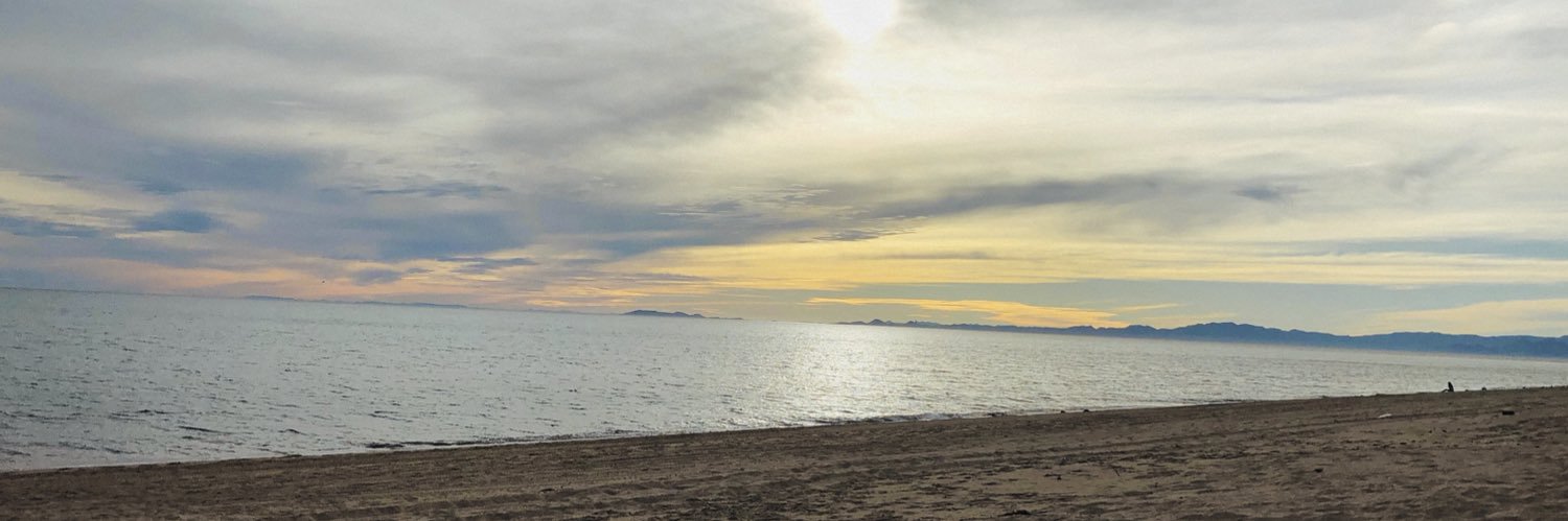Adaramaria14's profile banner image