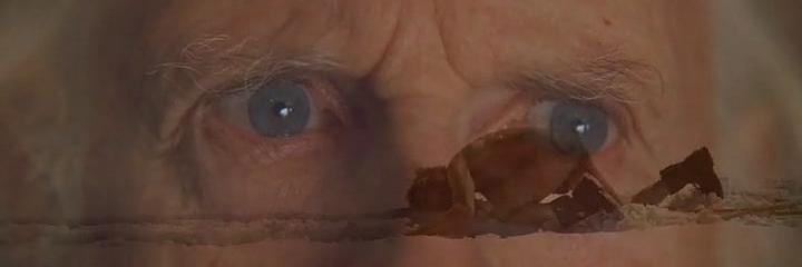 adcdubb's profile banner image