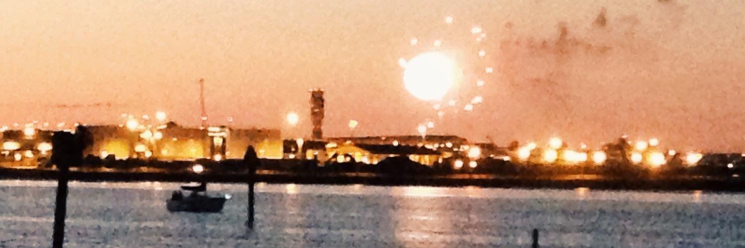 dear_floresa's profile banner image