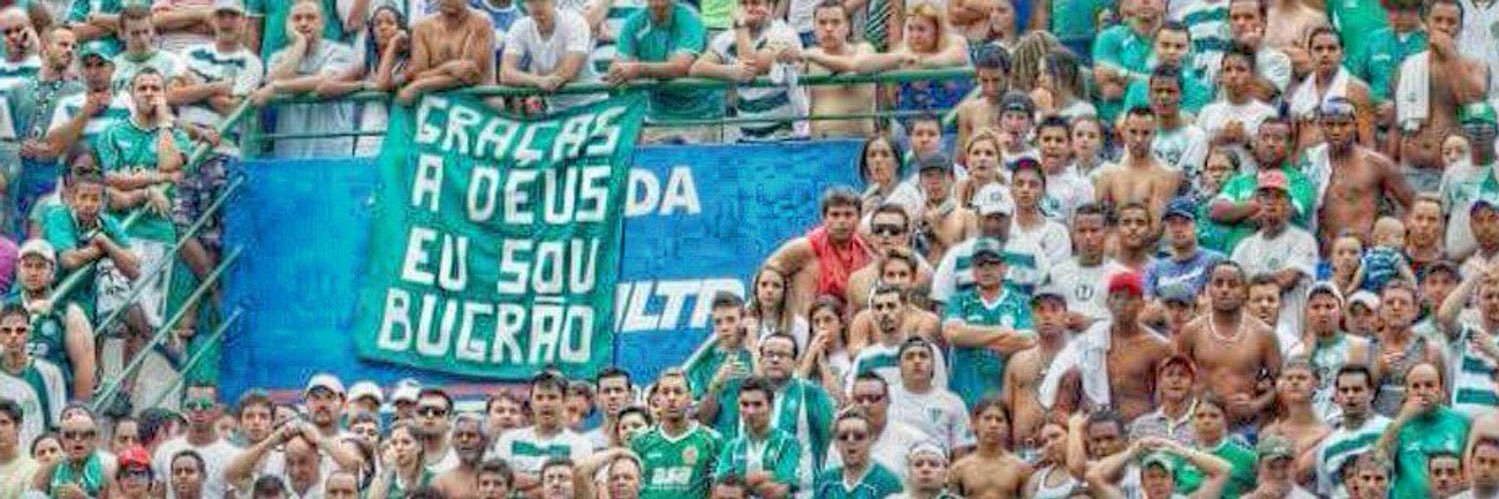 pedro banner