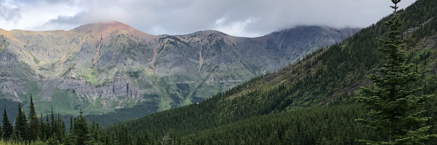SarahCymbaliuk's profile banner image