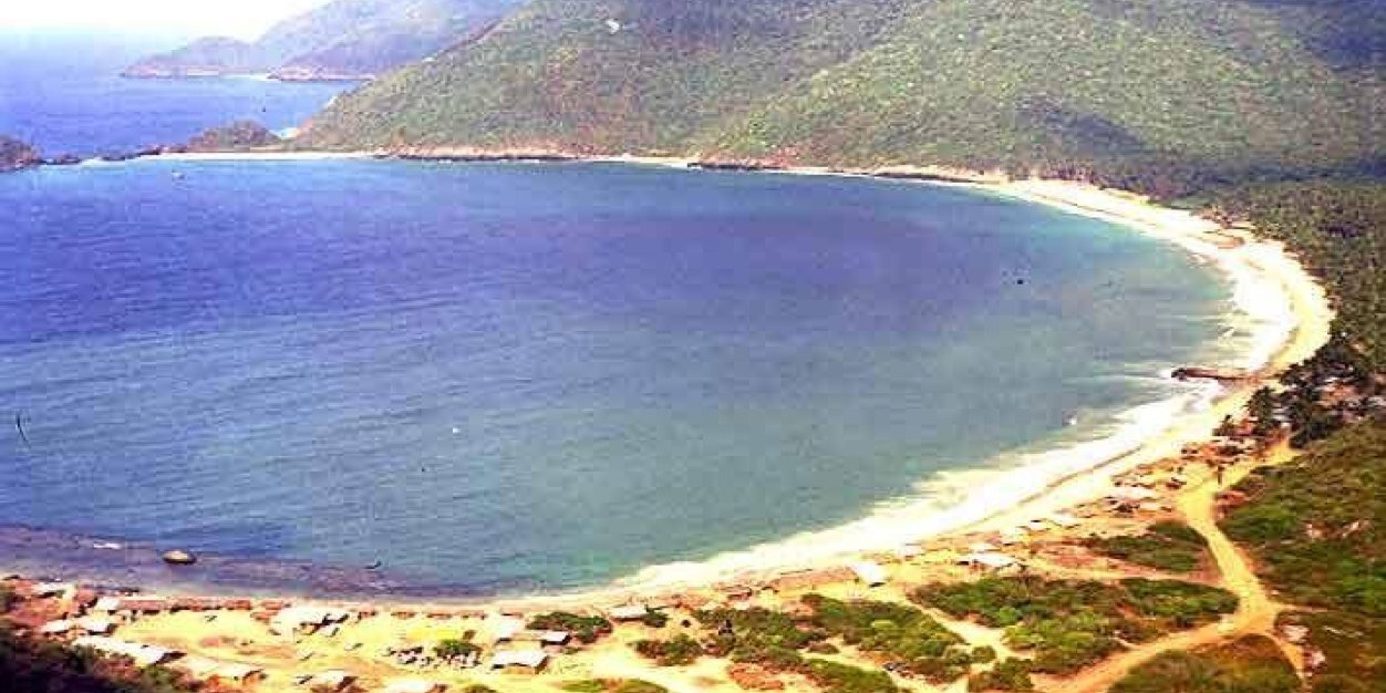 Perkins Rocha banner