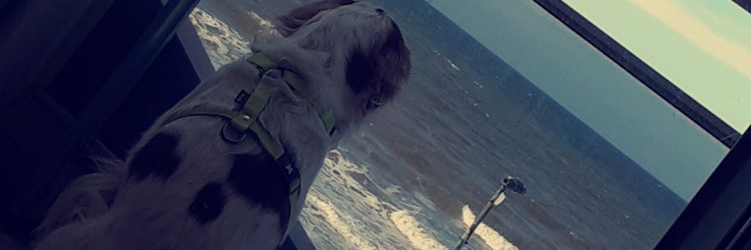 DouglasMlanie's profile banner image