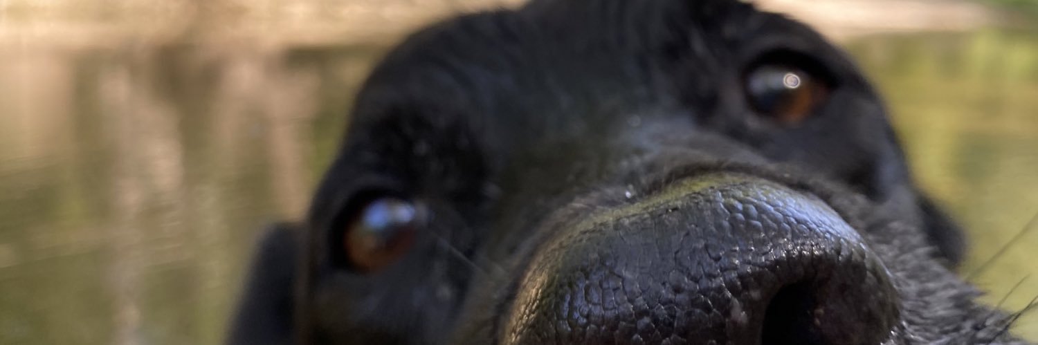 alyssaamiaa's profile banner image