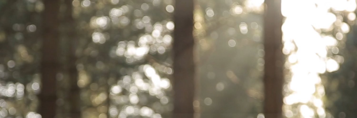 _LloydAccess_'s profile banner image