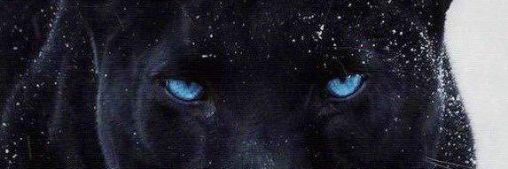 queentanna10's profile banner image