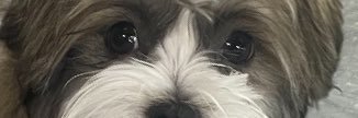 Captn_Evil's profile banner image