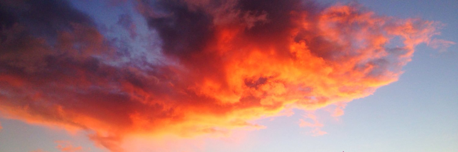 chnlzer0's profile banner image