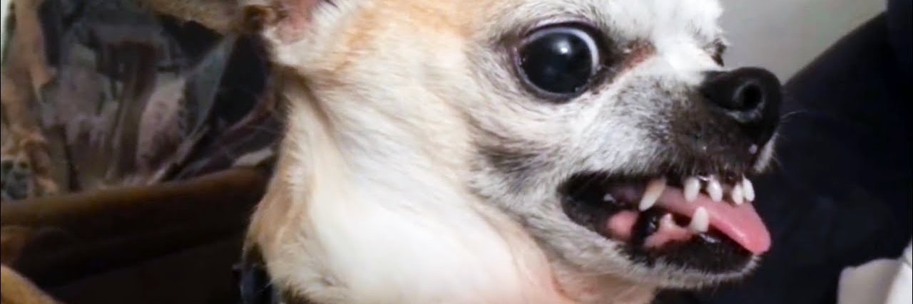 RaymondEMosher's profile banner image